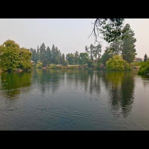 Meet your Posher, Cozy Closet